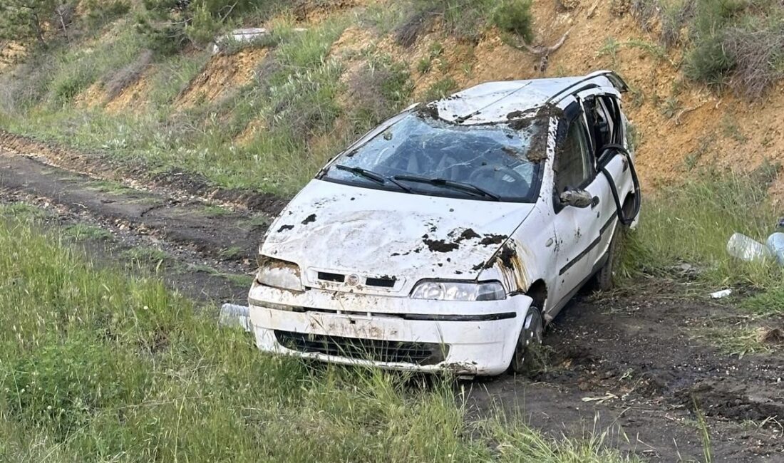 Uşak-Afyonkarahisar karayolu üzerinde gece saatlerinde meydana gelen trafik kazasında, kontrolden