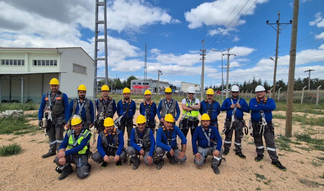Afyonkarahisar’ın da aralarında bulunduğu 5 ilde elektrik dağıtım hizmeti sunan
