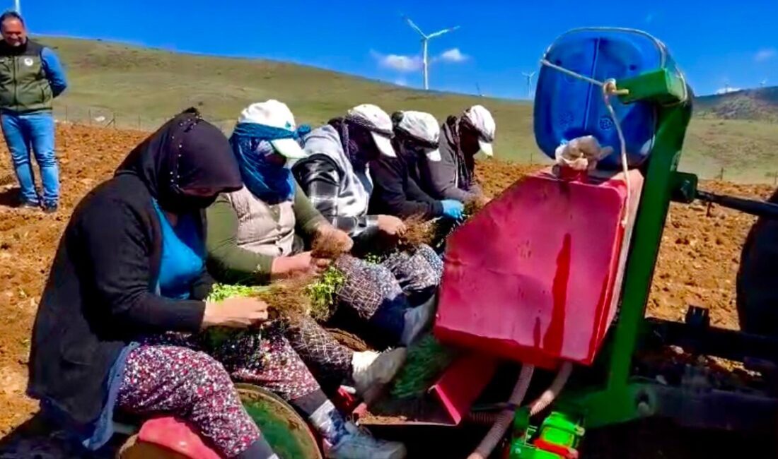Afyonkarahisar’ın Dinar ilçesinde tarımsal kalkınmayı desteklemek ve boş bırakılan toprakları