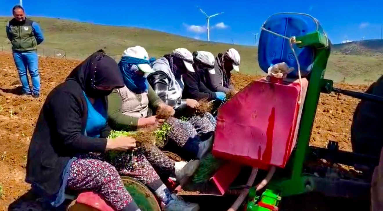 Afyonkarahisar’ın Dinar ilçesinde tarımsal kalkınmayı desteklemek ve boş bırakılan toprakları