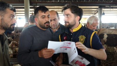 Kurban Bayramı’na sayılı günler kala, canlı hayvan pazarlarında hareketlilik artarken