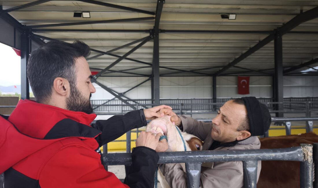 Afyonkarahisar Tarım ve Orman İl Müdürlüğü ekipleri yaklaşan Kurban Bayram