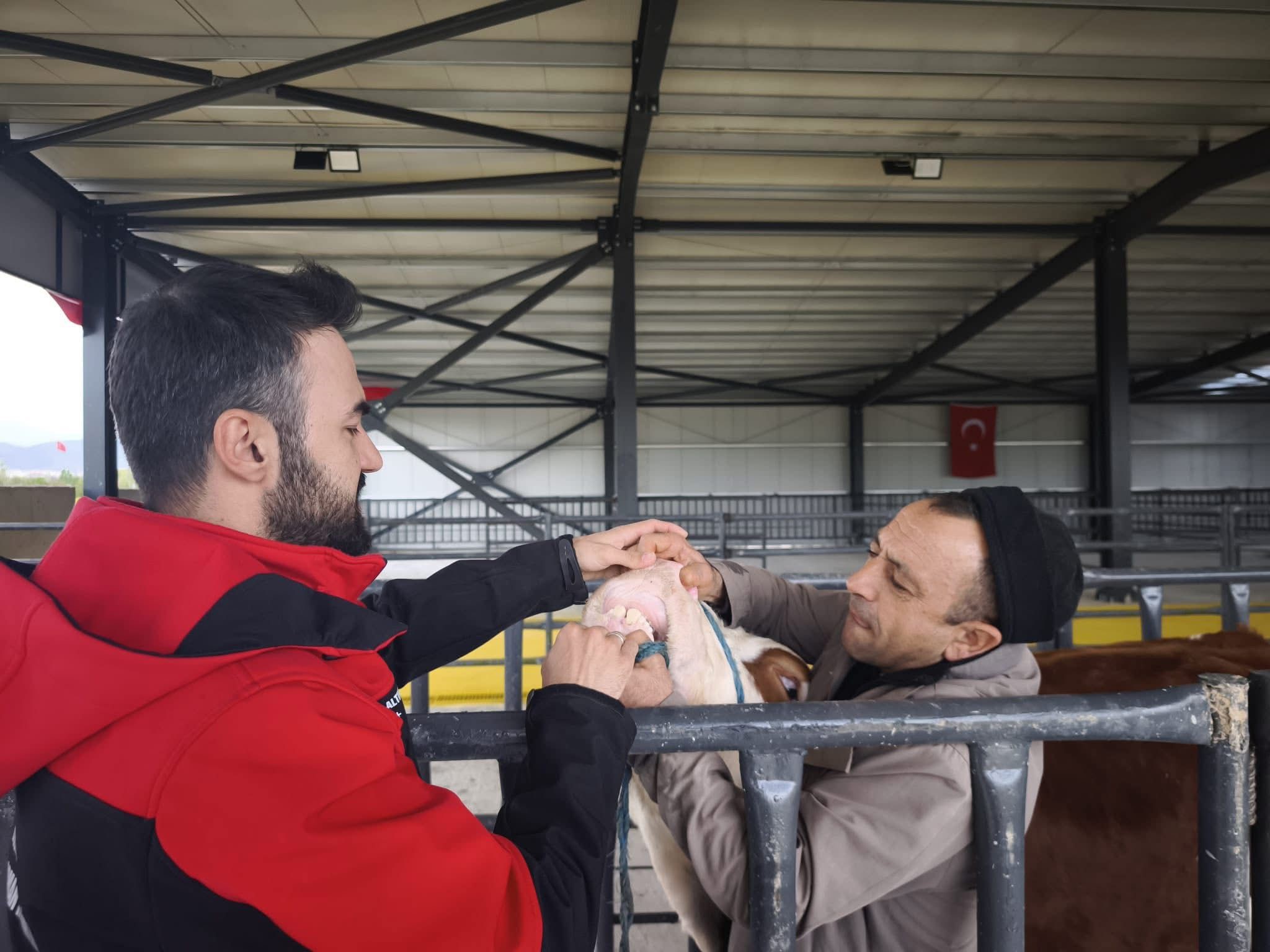 Afyonkarahisar Tarım ve Orman İl Müdürlüğü ekipleri yaklaşan Kurban Bayram