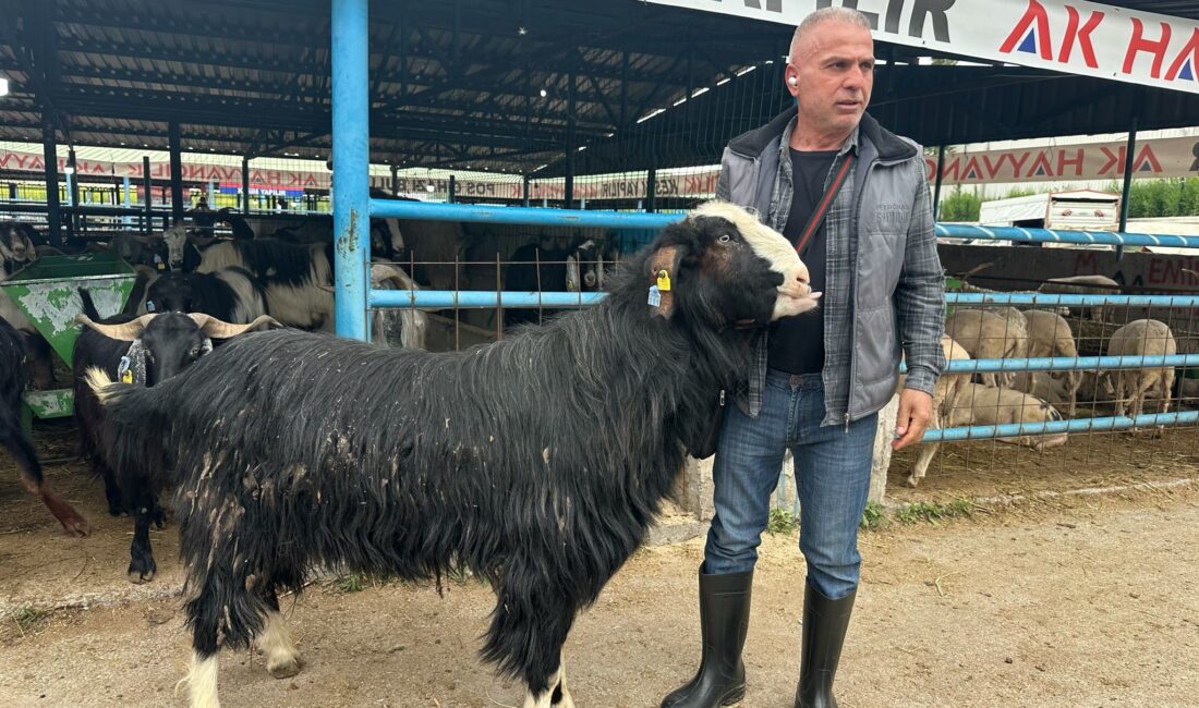 Kurban Bayramı'na sayılı günler kala canlılığın en üst seviyeye ulaştığı