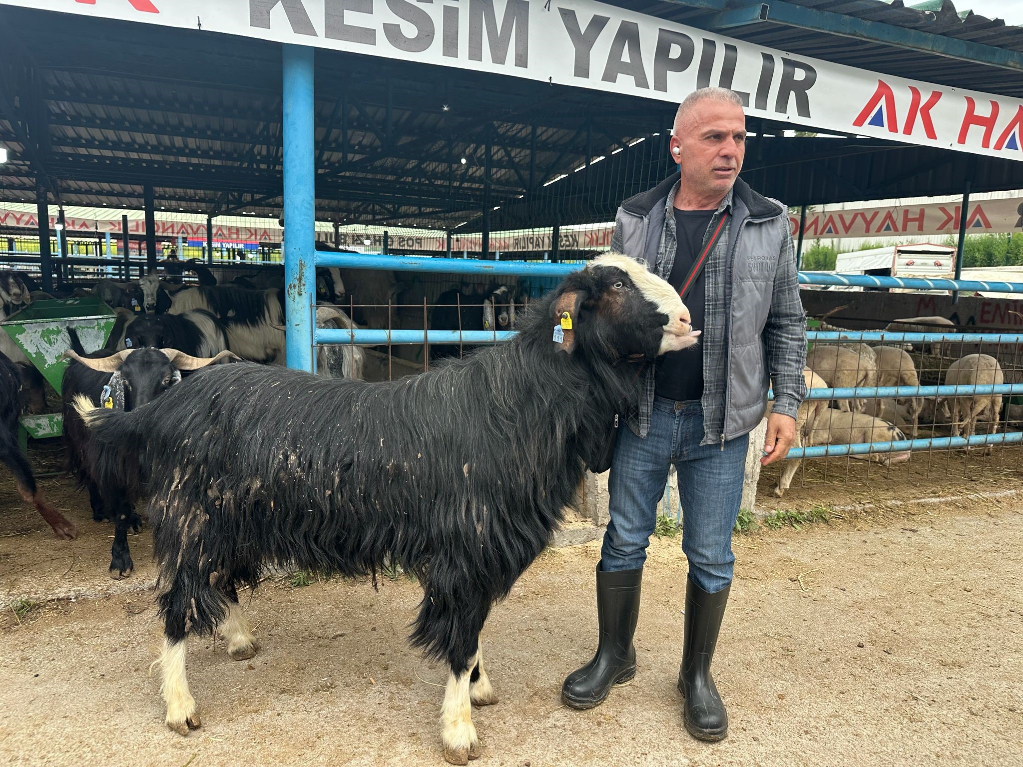 Kurban Bayramı'na sayılı günler kala canlılığın en üst seviyeye ulaştığı