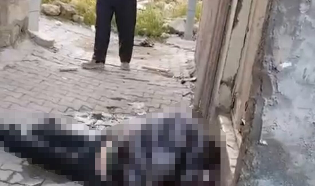 Siirt kent merkezinde Kurban Bayramı sabahı erken saatlerde üzücü ve