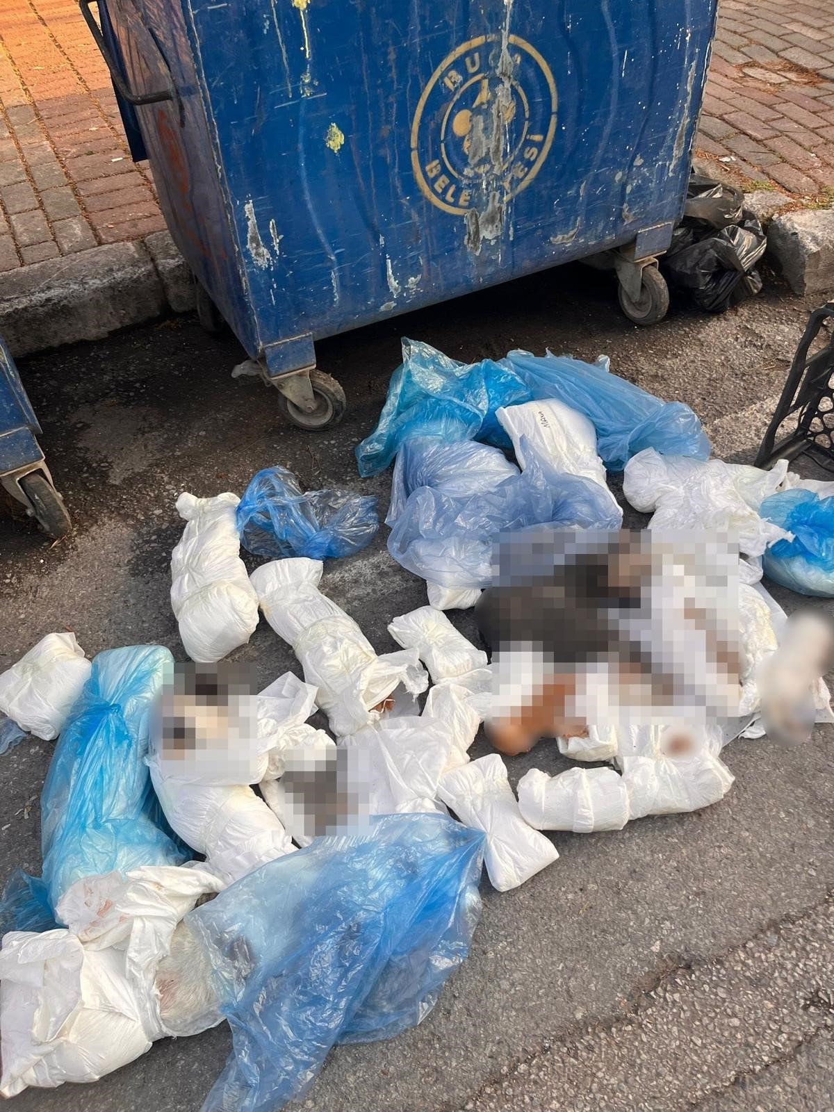 İzmir'in Buca ilçesinde geçtiğimiz hafta 33 kedinin çöp konteynerinde ölü