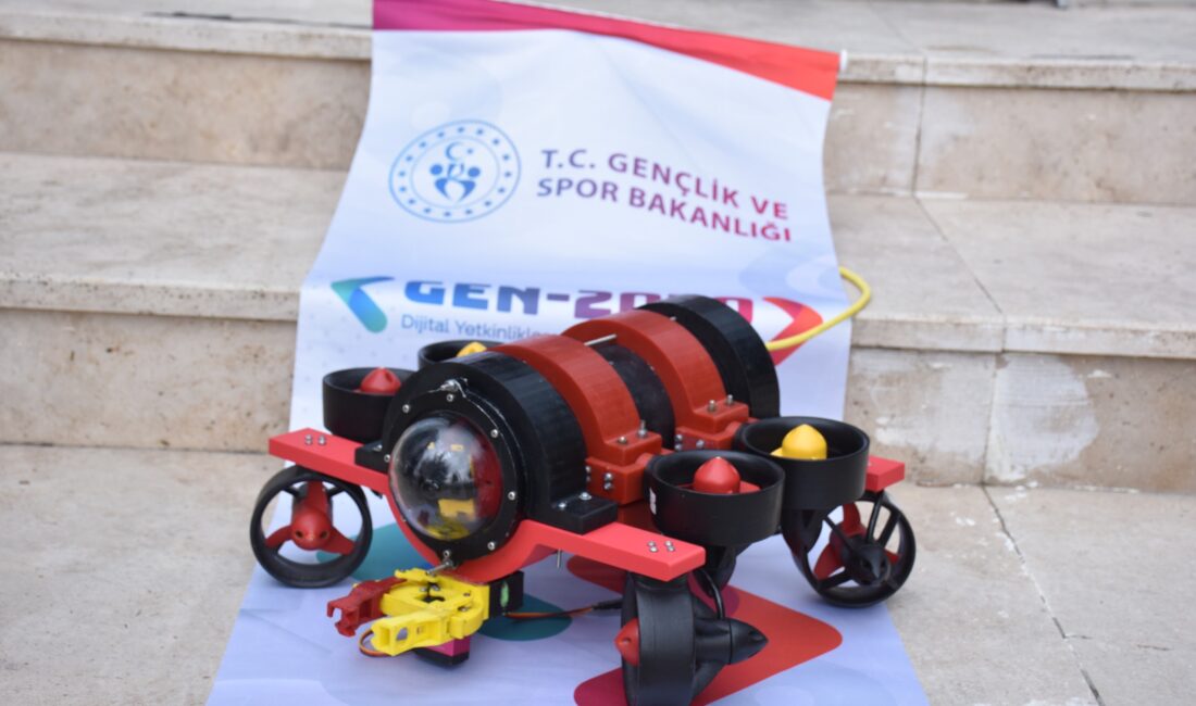 Gençlik ve Spor Bakanlığı Gençlik Hizmetleri Genel Müdürlüğü koordinasyonunda faaliyet