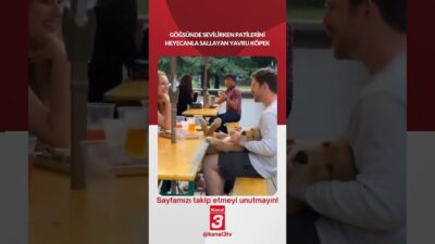 Göğsünde sevilirken patilerini heyecanla sallayan yavru köpek… 📶https://kanal3.com.tr/ Sosyal Medya