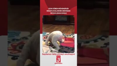 Uzun süren mühendislik hesaplamalarının ardından ortaya çıkan sonuç… 📶https://kanal3.com.tr/ Sosyal