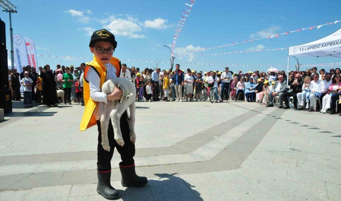 Çanakkale’nin Lapseki ilçesinde Kaymakamlığın düzenlediği ’Boğazın Minik Çobanları’ projesinde minikler