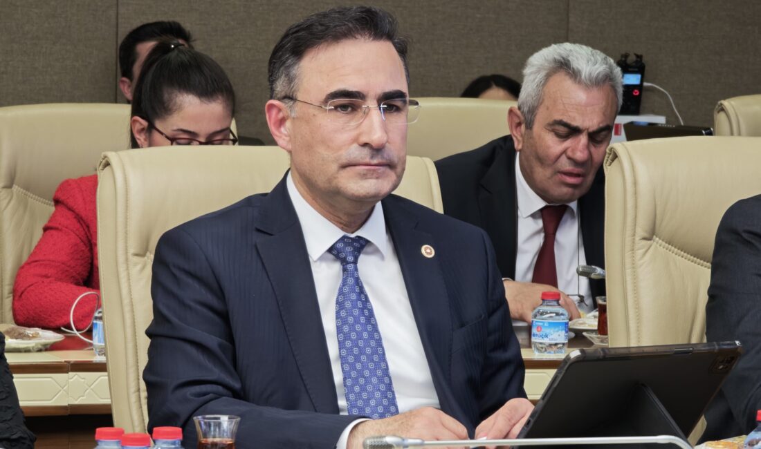 AK Parti Afyonkarahisar Milletvekili, Sağlık, Aile, Çalışma ve Sosyal İşler