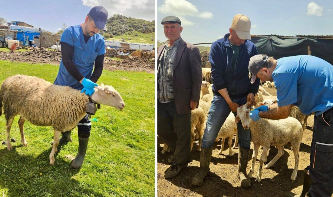 Afyonkarahisar İl Tarım ve Orman Müdürlüğü tarafından yürütülen Halk Elinde