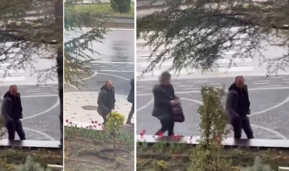 Kayseri’de belediye ekiplerinin kenti güzelleştirmek adına diktiği laleler, kimliği belirsiz