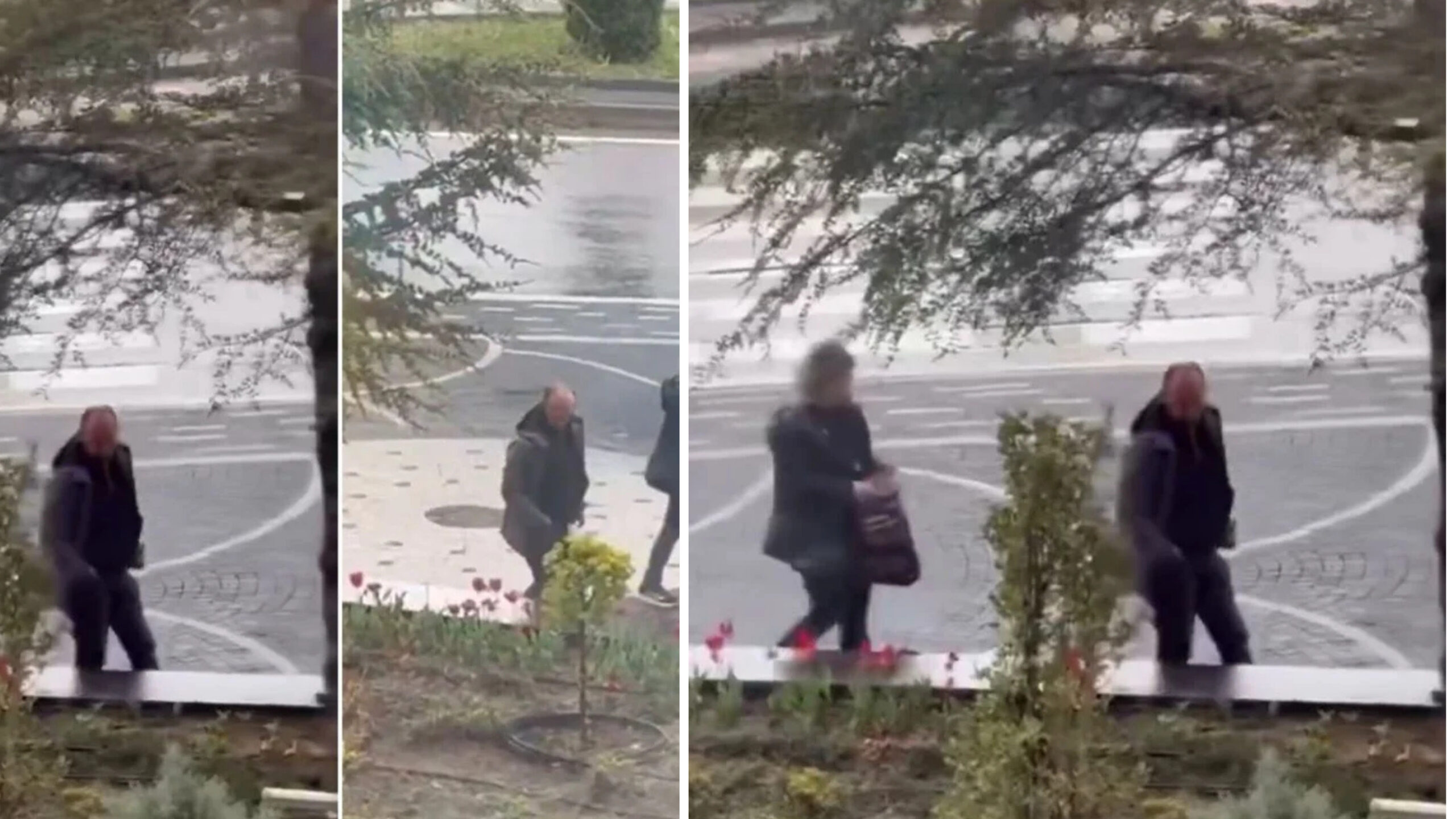 Kayseri’de belediye ekiplerinin kenti güzelleştirmek adına diktiği laleler, kimliği belirsiz