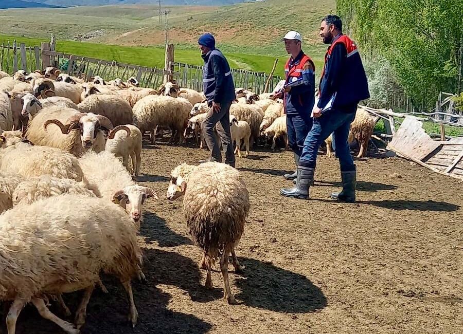 Afyonkarahisar İl Tarım ve Orman Müdürlüğü tarafından yürütülen “Halk Elinde