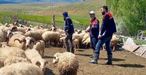 Afyonkarahisar İl Tarım ve Orman Müdürlüğü tarafından yürütülen “Halk Elinde