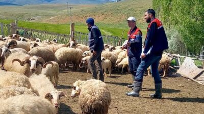 Afyonkarahisar İl Tarım ve Orman Müdürlüğü tarafından yürütülen “Halk Elinde