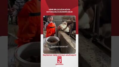 Kanal 3Sal, Mayıs 5, 2026 2:01pmURL:Embed:Minik bir çocuğun köyde hayvanlarla