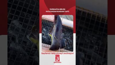 Tekirdağ’da bir kişi,patlıcandan kundura yaptı! 📶https://kanal3.com.tr/ Sosyal Medya Hesaplarımızı Takip