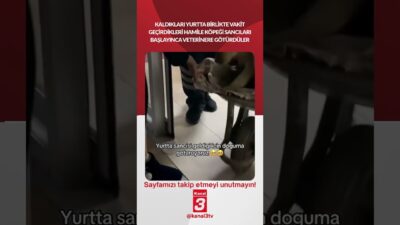 Kanal 3Pts, Mayıs 18, 2026 6:30amURL:Embed:Yurtta birlikte vakit geçirdikleri hamile