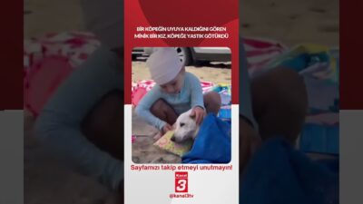 Kanal 3Cts, Mayıs 9, 2026 4:00pmURL:Embed:Bir köpeğin uyuya kaldığını gören