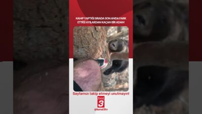 Kamp yaptığı sırada son anda fark ettiği ayılardan kaçan bir