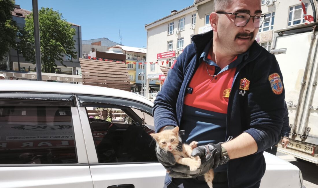 Afyonkarahisar’ın Dinar ilçesinde otomobilin motor kısmına sıkışan yavru kedi itfaiye