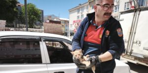 Afyonkarahisar’ın Dinar ilçesinde otomobilin motor kısmına sıkışan yavru kedi itfaiye