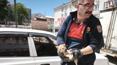 Afyonkarahisar’ın Dinar ilçesinde otomobilin motor kısmına sıkışan yavru kedi itfaiye