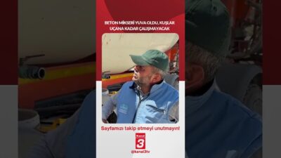 Beton mikseri yuva oldu, kuşlar uçana kadar çalışmayacak! 📶https://kanal3.com.tr/ Sosyal