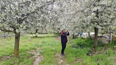 Afyonkarahisar’da zirai don uyarısının yapıldığı bölgelerde hasar tespit çalışması yapıldı.