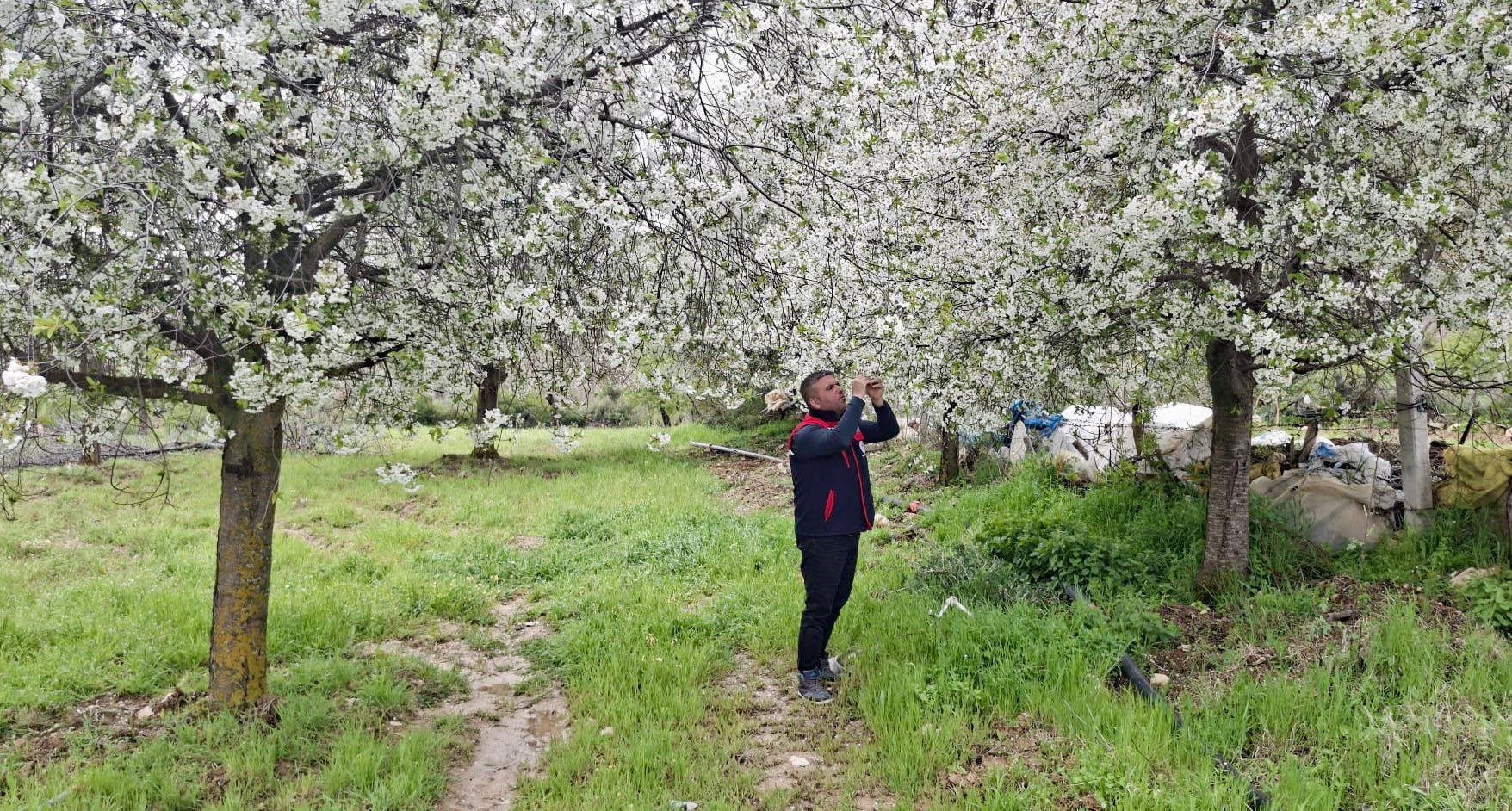 Afyonkarahisar’da zirai don uyarısının yapıldığı bölgelerde hasar tespit çalışması yapıldı.