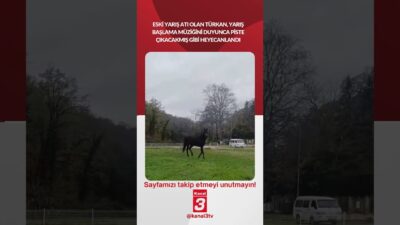 Eski yarış atı olan Türkan, yarış başlama müziğini duyunca piste