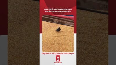 Kanal 3Cum, Mayıs 8, 2026 2:01pmURL:Embed:Mısır yüklü kamyonun kasasında kendine