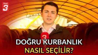 Kanal 3Per, Mayıs 21, 2026 8:00pmURL:Embed:📶https://kanal3.com.tr/ Sosyal Medya Hesaplarımızı Takip