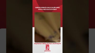 Cebinde kurbağa saklayan bir minik, sosyal medyada ilgi gördü! 📶https://kanal3.com.tr/