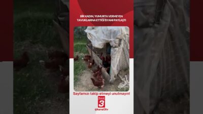 Kanal 3Cum, Mayıs 8, 2026 6:30amURL:Embed:Bir kadın, yumurta vermeyen tavuklarına
