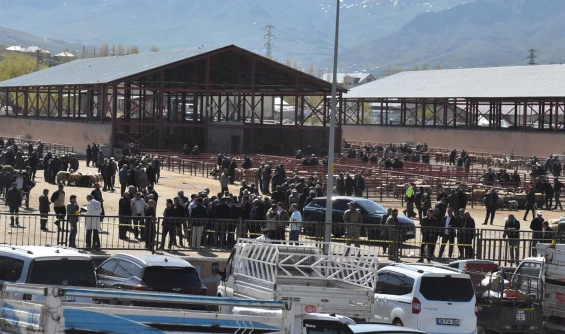 Van’ın İpekyolu ilçesindeki hayvan pazarında iki grup arasında çıkan silahlı,