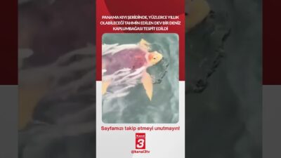 Kanal 3Paz, Haziran 14, 2026 10:00amURL:Embed:Panama kıyı şeridinde, yüzlerce yıllık