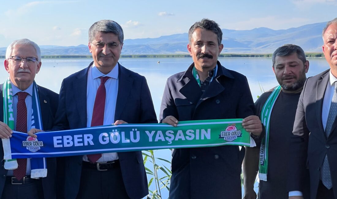 DEVA Partisi Genel Başkan Yardımcısı Mehmet Emin Ekmen, Eski AYM