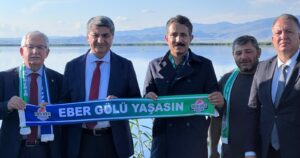 DEVA Partisi Genel Başkan Yardımcısı Mehmet Emin Ekmen, Eski AYM