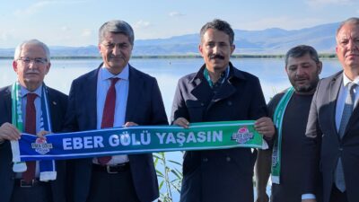 DEVA Partisi Genel Başkan Yardımcısı Mehmet Emin Ekmen, Eski AYM