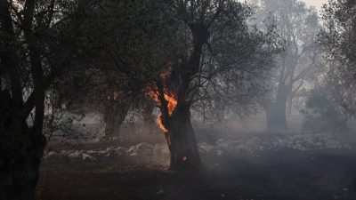 Yunanistan'ın çeşitli bölgelerinde kuvvetli rüzgarların etkisiyle orman yangınları çıktı.