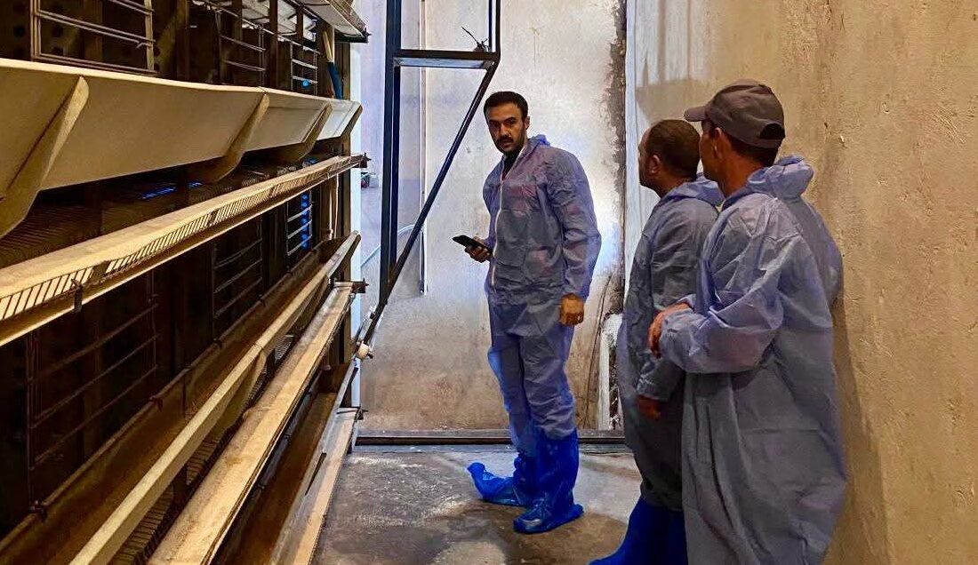 Hayvan sağlığının korunması, bulaşıcı hastalıkların önlenmesi ve işletmelerde biyogüvenlik tedbirlerinin