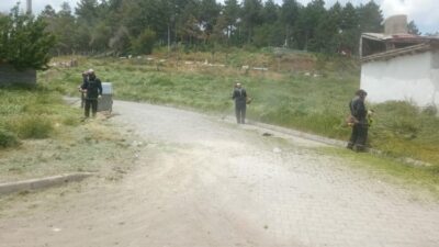 Şuhut Belediyesi Park ve Bahçeler Müdürlüğü ekipleri, ilçedeki park ve