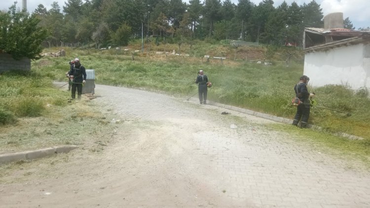 Şuhut Belediyesi Park ve Bahçeler Müdürlüğü ekipleri, ilçedeki park ve