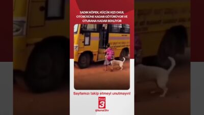 Kanal 3Çar, Haziran 24, 2026 10:00amURL:Embed:Sadık köpek, küçük kızı okul
