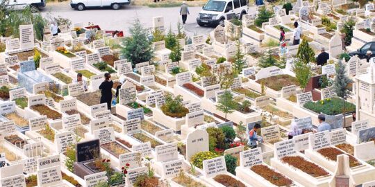 Türkiye İstatistik Kurumu (TÜİK) verilerine göre, Türkiye’de 2025 yılında toplam