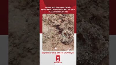 Sahip olduğu inanılmaz özelliği sayesinde tehlike hissettiği anda kamufle olarak